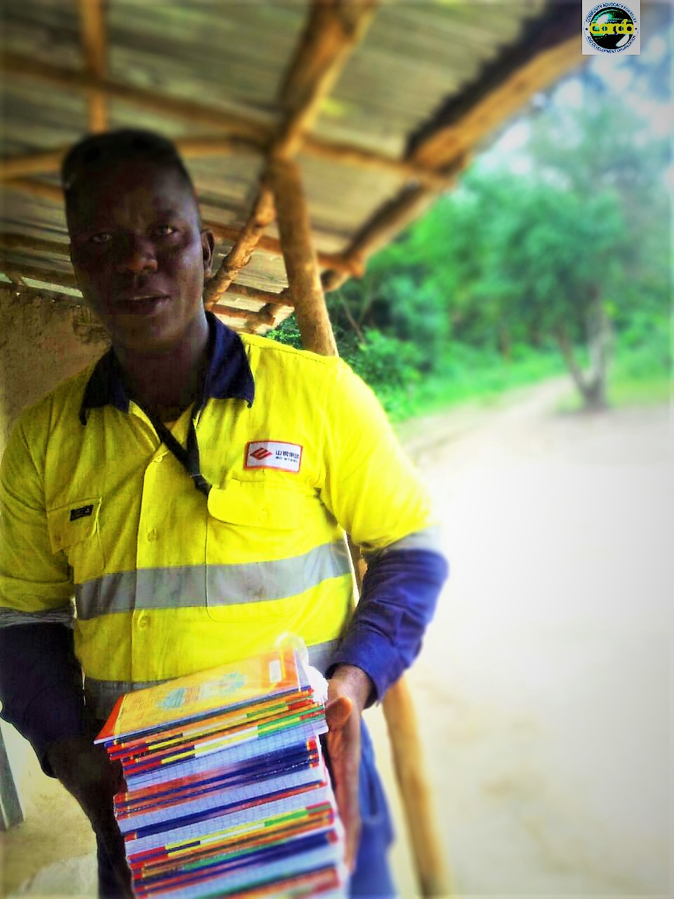 Regional Project manager